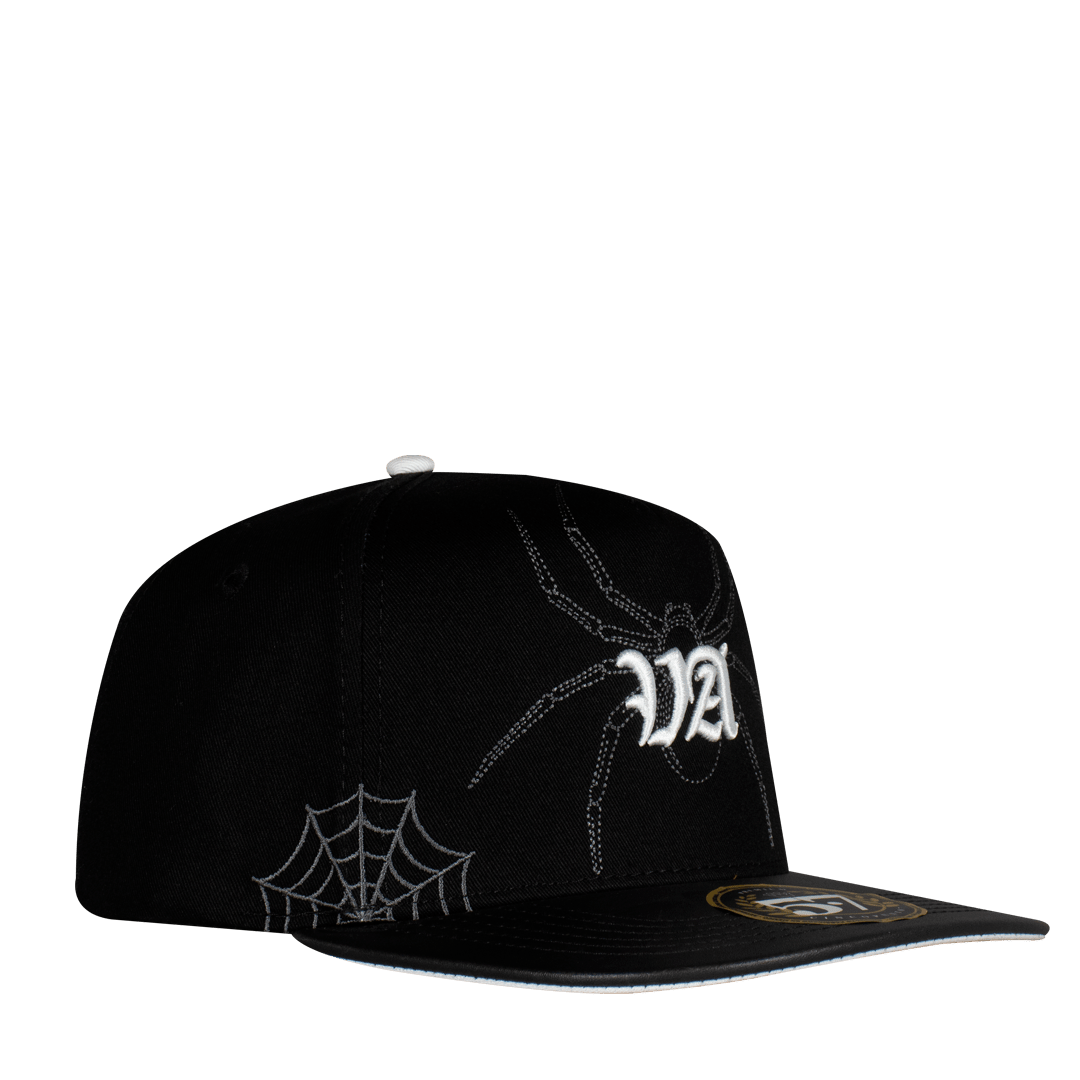 VA Spider Plana - Cincopunto7