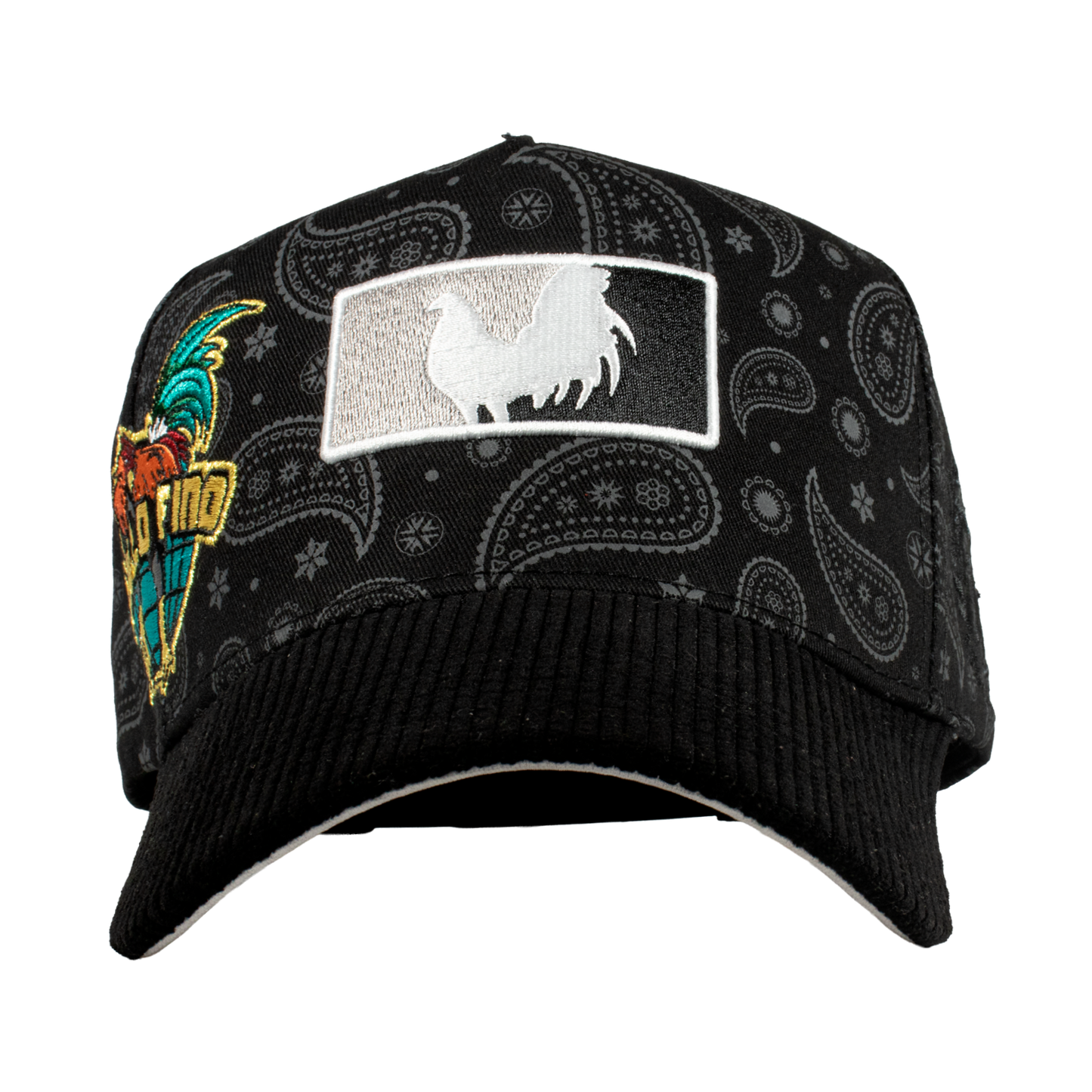 Paisley Gallo Beisbol World Series