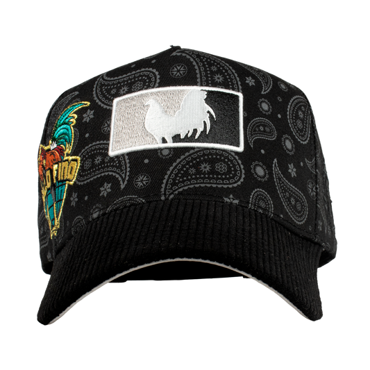 Paisley Gallo Beisbol World Series