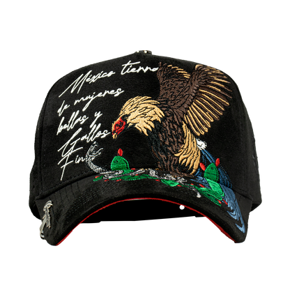 Mexico Rooster Lyrics