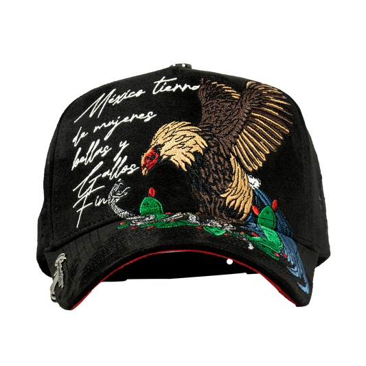 Mexico Rooster Lyrics