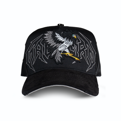 Gallero Stars fight