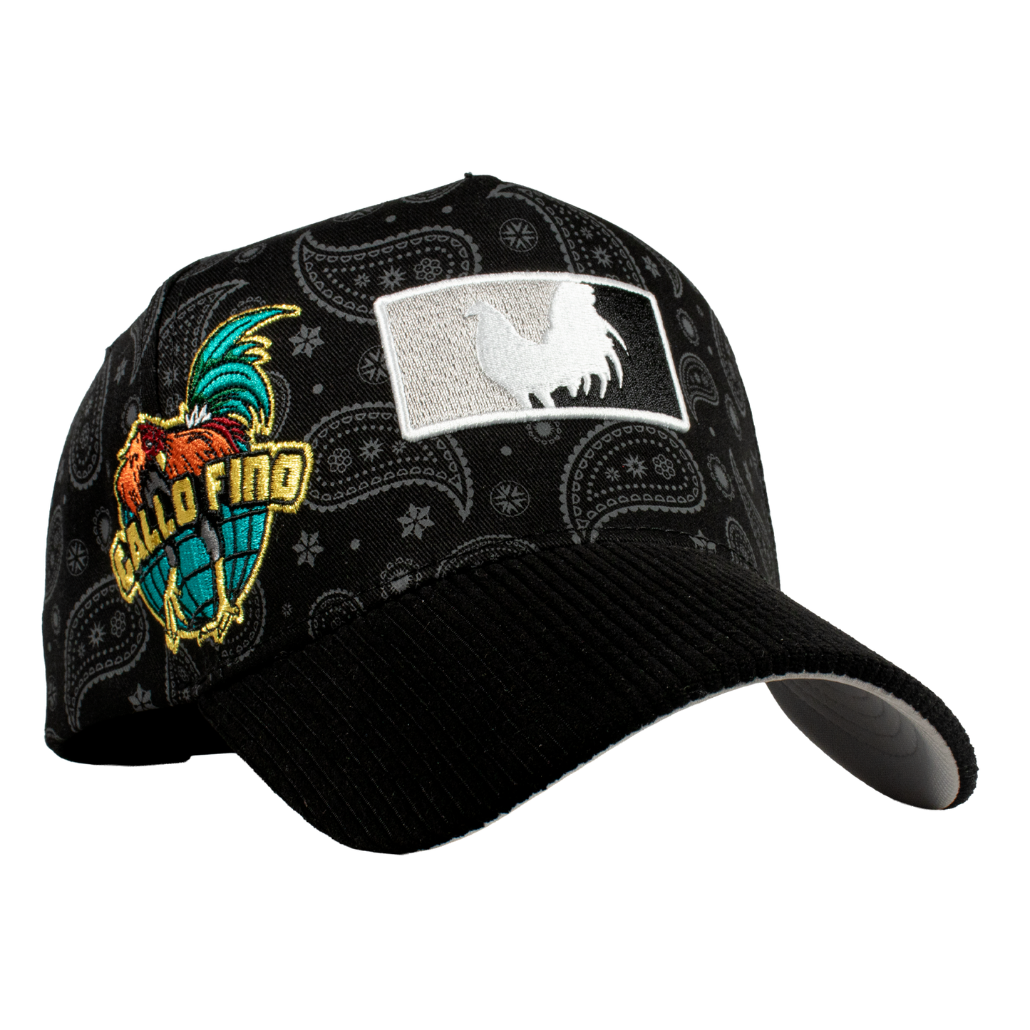 Paisley Gallo Beisbol World Series