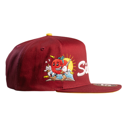 México mis Raíces - Sinaloa