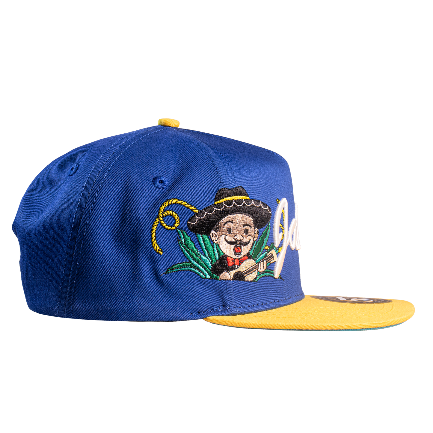 México mis Raíces - Jalisco