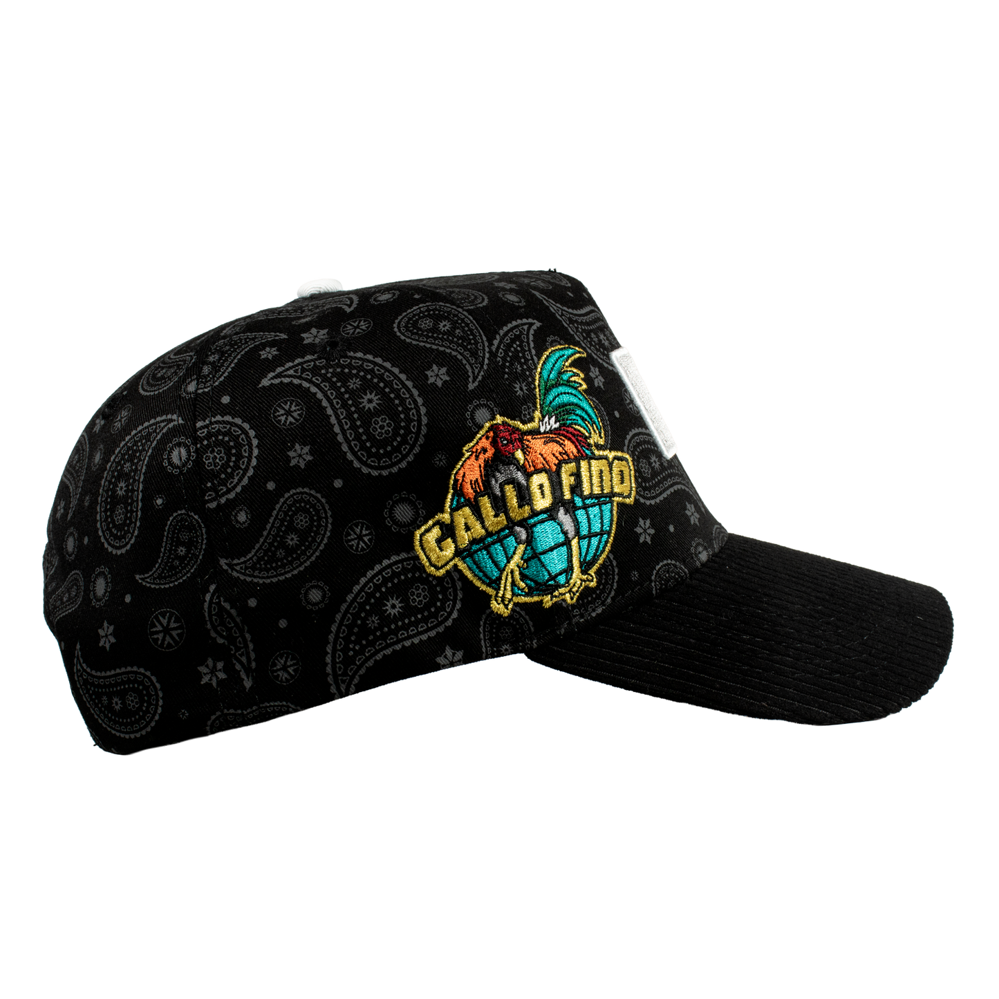 Paisley Gallo Beisbol World Series