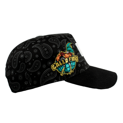 Paisley Gallo Beisbol World Series