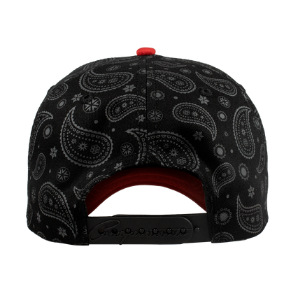 Paisley Vagancia World Series