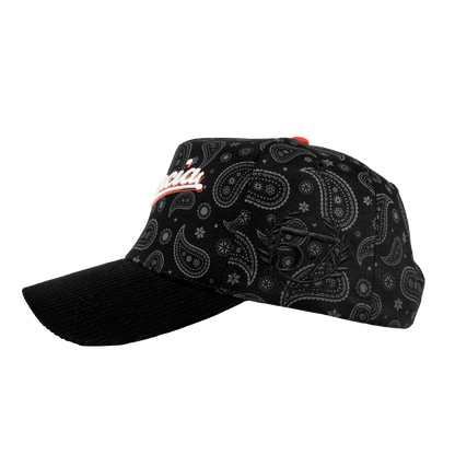 Paisley Vagancia World Series