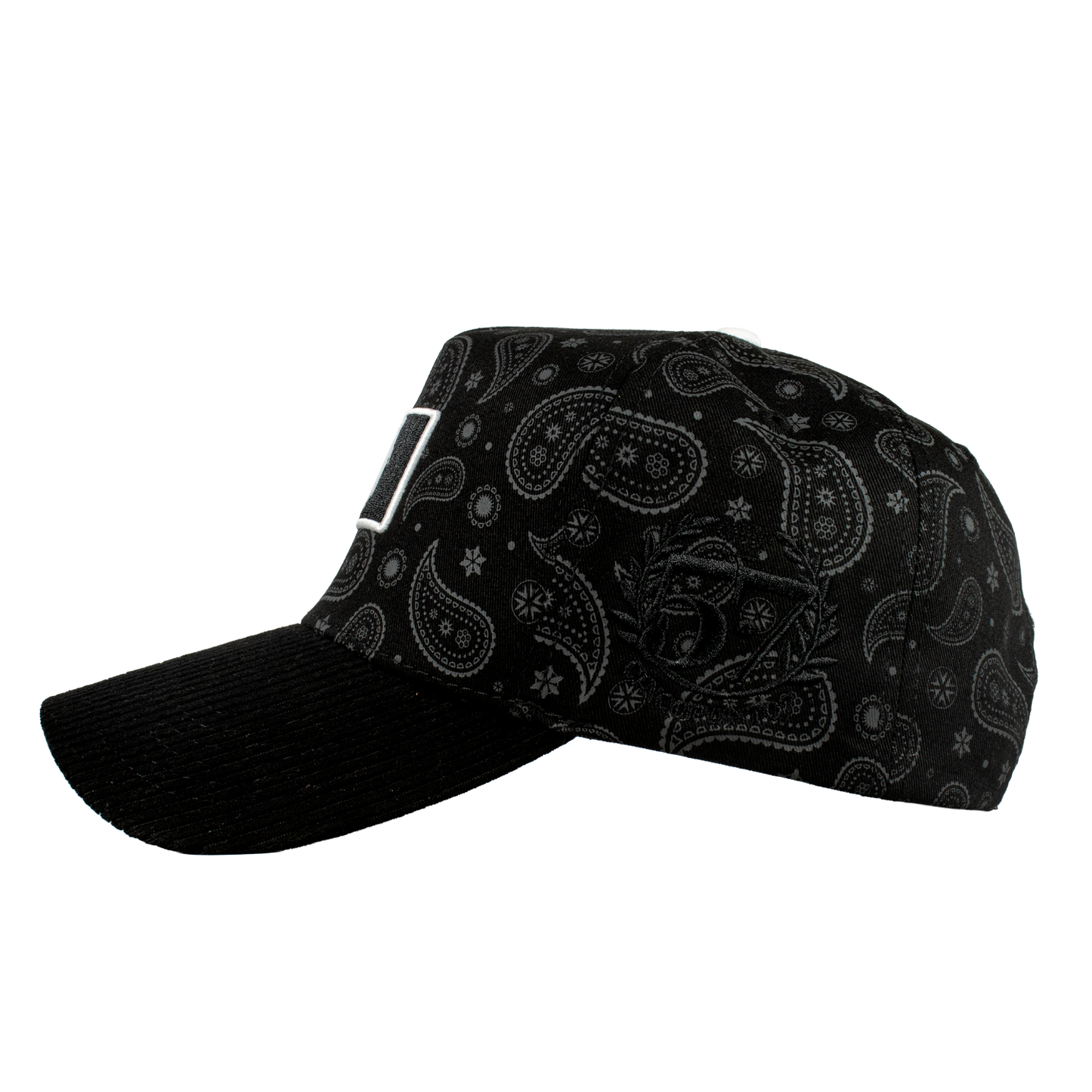 Paisley Gallo Beisbol World Series