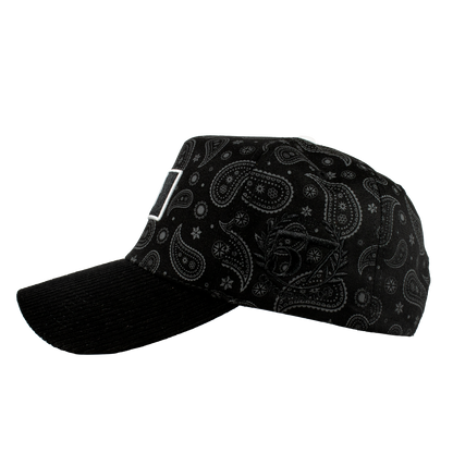 Paisley Gallo Beisbol World Series