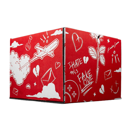 Full Set Fake Love (caja, cubre polvo y llavero)