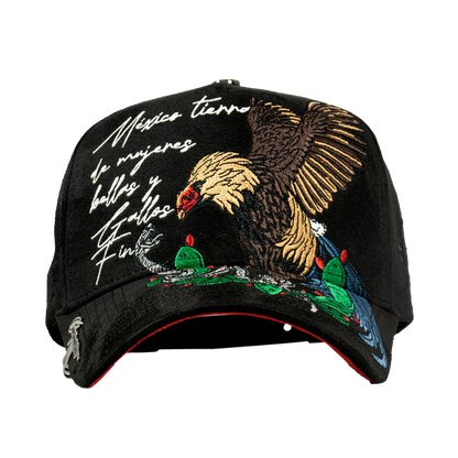 Mexico Rooster Lyrics