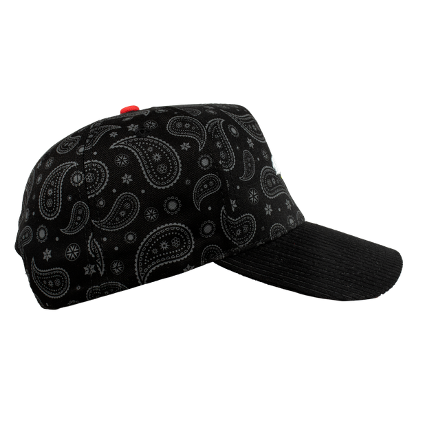 Montana World Llamas Paliacate