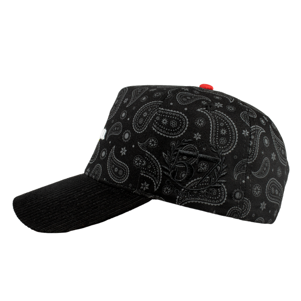 Montana World Llamas Paliacate