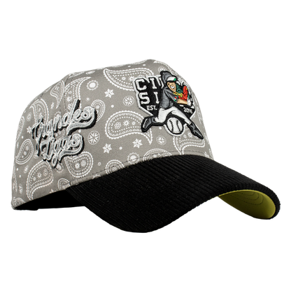 Grandes Ligas Beisbol Paliacate