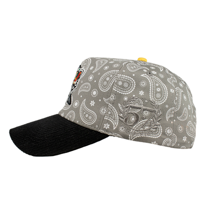 Grandes Ligas Beisbol Paliacate