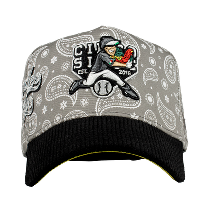 Grandes Ligas Beisbol Paliacate