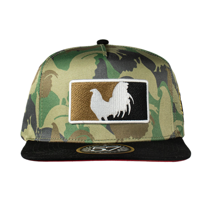Gallo Beisbol Rooster