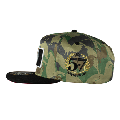 Gallo Beisbol Rooster