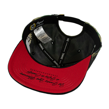 Gallo Beisbol Rooster