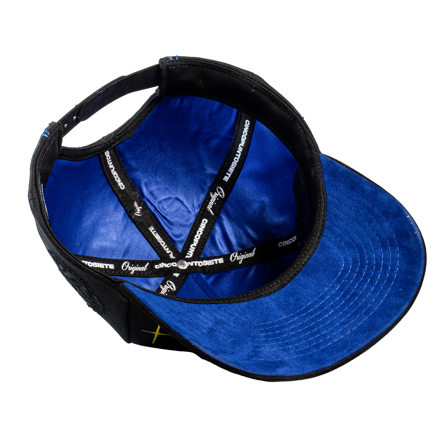 Spider World Black & Blue