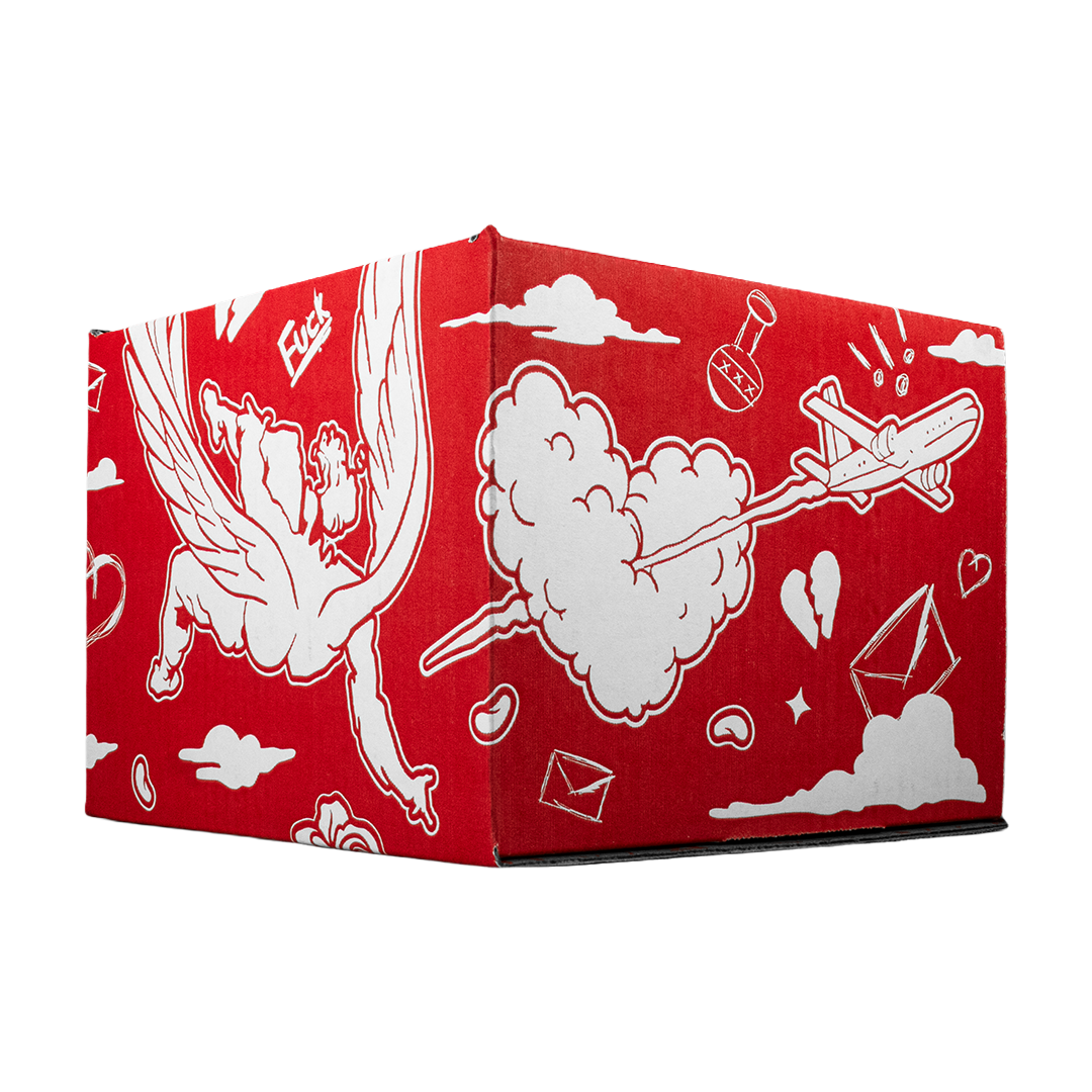 Full Set  Fake Love  (Caja,cubre polvo y llavero)