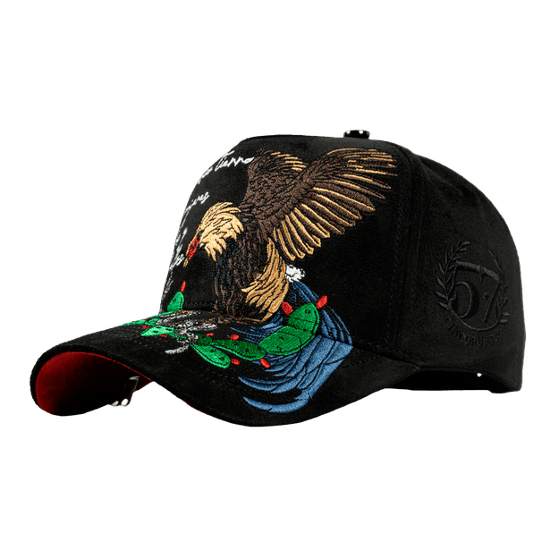 Mexico Rooster Lyrics - Cincopunto7