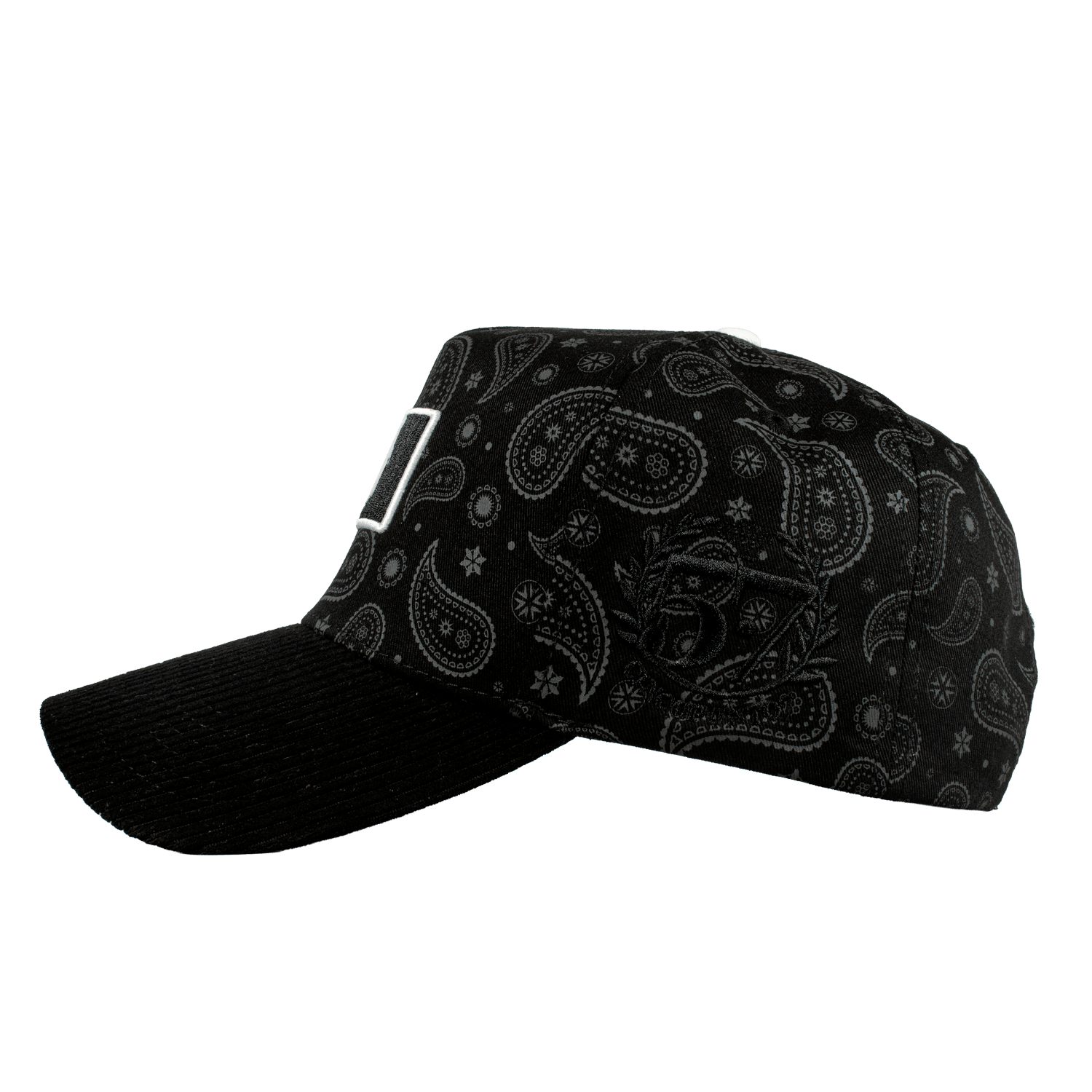 Paisley Gallo Beisbol World Series - Cincopunto7
