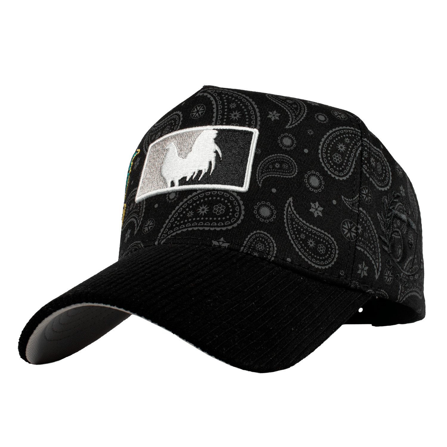 Paisley Gallo Beisbol World Series - Cincopunto7