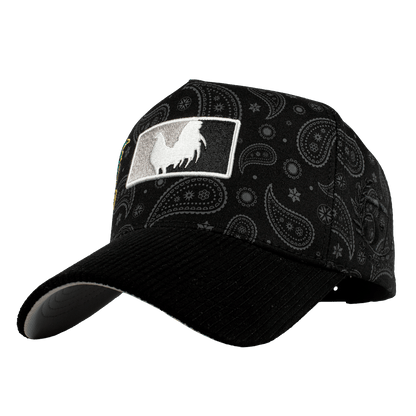 Paisley Gallo Beisbol World Series - Cincopunto7
