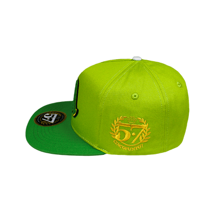 Vagancia Chenill Verde - Cincopunto7